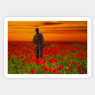 Soldier in Poppy Field Sticker